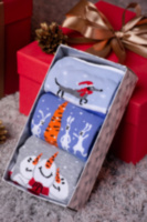 Носки набор в подарочной упаковке "Новогодние шалости" детские