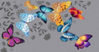Конверт для денег, Разноцветные бабочки