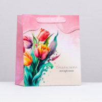 Пакет ламинированный вертикальный "Весенние тюльпаны"